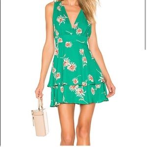 BB Dakota Garden Strolls dress NWT